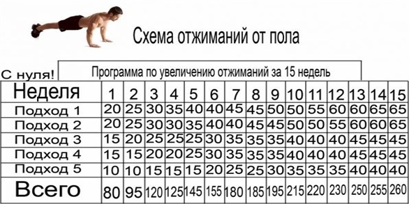 программа тренировок дома для девушек для похудения программа тренировок дома для девушек для похудения